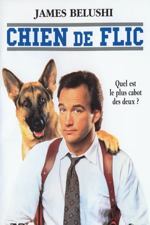 Chien de flic