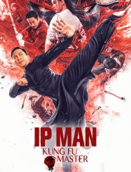 Ip Man Kung Fu Master - Les origines