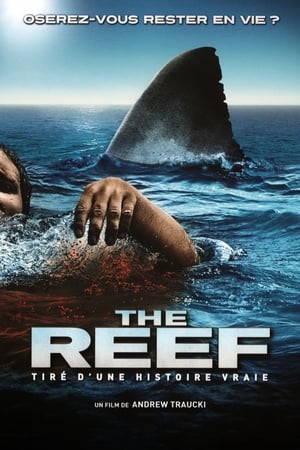 The Reef